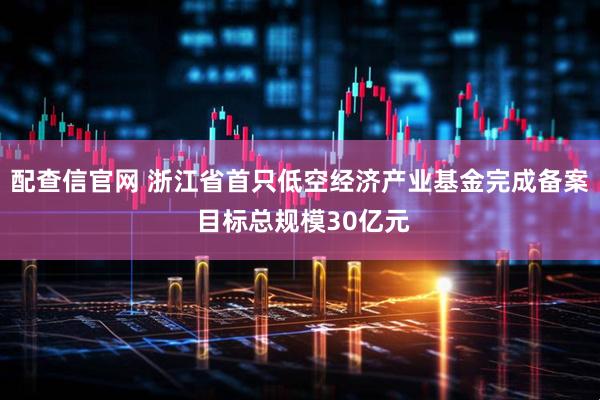 配查信官网 浙江省首只低空经济产业基金完成备案 目标总规模30亿元