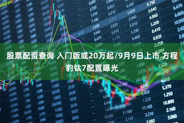 股票配资查询 入门版或20万起/9月9日上市 方程豹钛7配置曝光